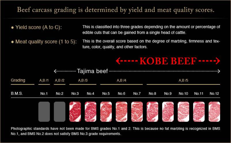 Bò Kobe là gì? Chuẩn nhận diện “vua” Wagyu